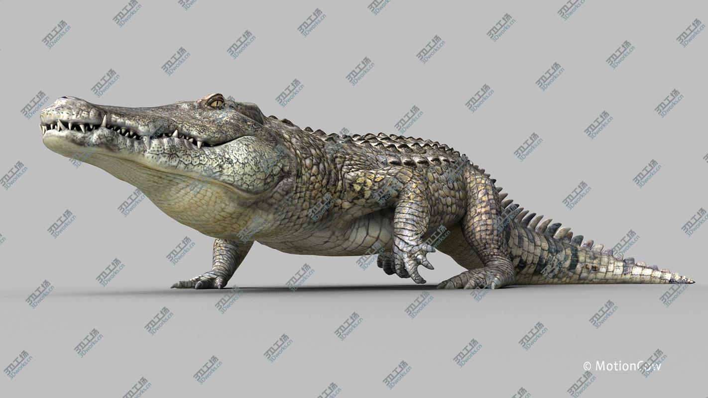 images/goods_img/20210313/3D model Crocodile Pro/4.jpg